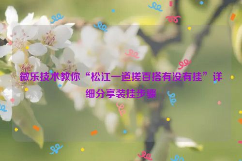 微乐技术教你“松江一道搓百搭有没有挂”详细分享装挂步骤