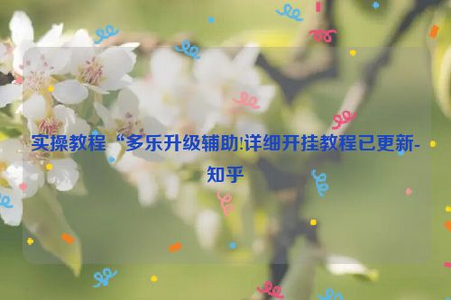 实操教程“多乐升级辅助!详细开挂教程已更新-知乎