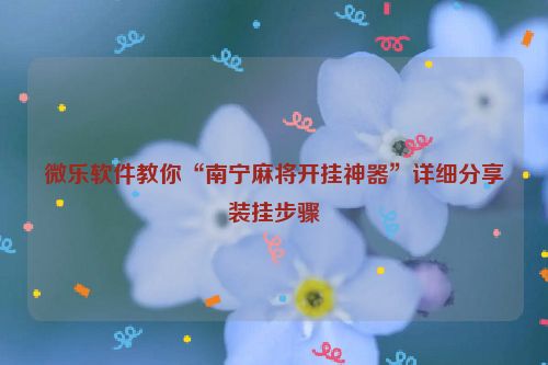 微乐软件教你“南宁麻将开挂神器”详细分享装挂步骤