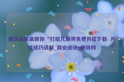 微乐玩家赢教你“打哈儿麻将免费开挂下载- 开挂技巧讲解_商业资讯_迪特网