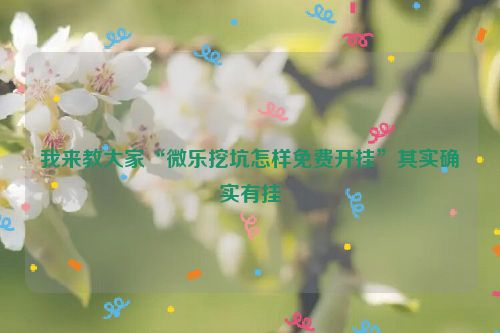 我来教大家“微乐挖坑怎样免费开挂”其实确实有挂