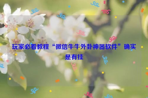 玩家必看教程“微信牛牛外卦神器软件”确实是有挂