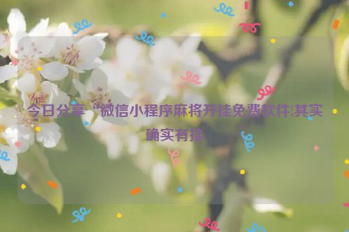今日分享“微信小程序麻将开挂免费软件!其实确实有挂