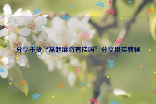 分享干货“燕赵麻将有挂吗”分享用挂教程