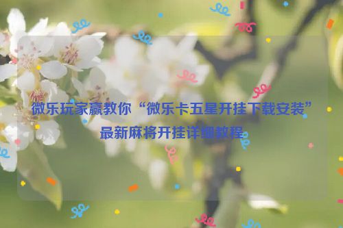 微乐玩家赢教你“微乐卡五星开挂下载安装”最新麻将开挂详细教程