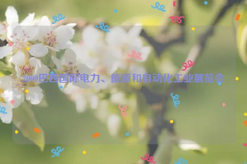 2009巴西国际电力、能源和自动化工业展览会