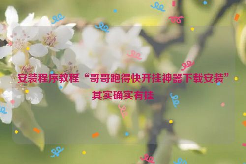 安装程序教程“哥哥跑得快开挂神器下载安装”其实确实有挂