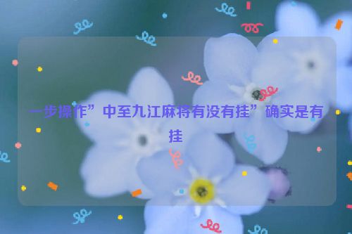 一步操作”中至九江麻将有没有挂”确实是有挂
