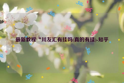 最新教程“川友汇有挂吗(真的有挂)-知乎