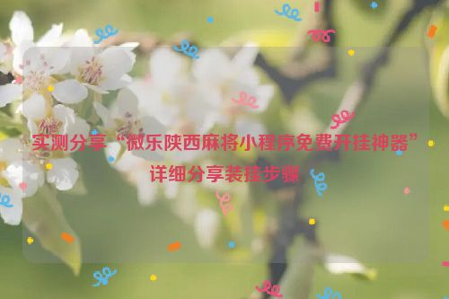实测分享“微乐陕西麻将小程序免费开挂神器”详细分享装挂步骤