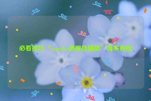 必看技巧“wepoker透视挂辅助”真实有挂