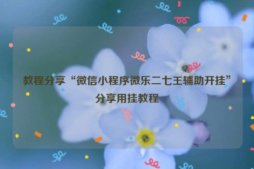教程分享“微信小程序微乐二七王辅助开挂”分享用挂教程