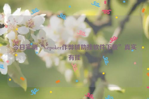 今日实测“wepoker作弊辅助挂软件下载”真实有挂