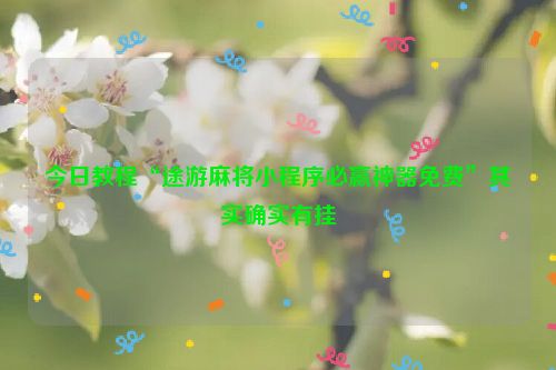 今日教程“途游麻将小程序必赢神器免费”其实确实有挂