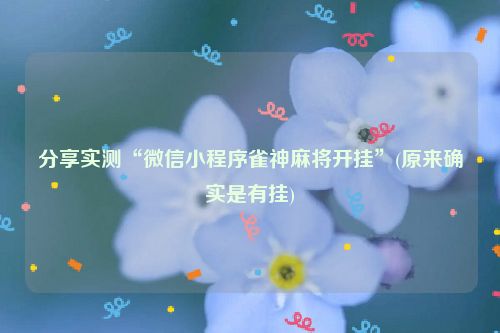 分享实测“微信小程序雀神麻将开挂”(原来确实是有挂)