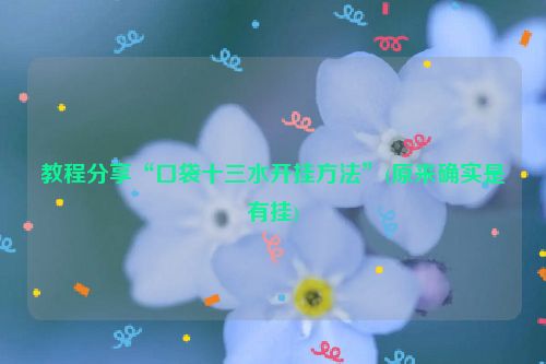 教程分享“口袋十三水开挂方法”(原来确实是有挂)