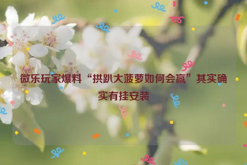 微乐玩家爆料“拱趴大菠萝如何会赢”其实确实有挂安装