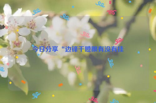 今日分享“边锋干瞪眼有没有挂