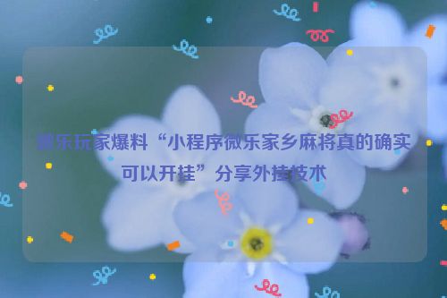 微乐玩家爆料“小程序微乐家乡麻将真的确实可以开挂”分享外挂技术