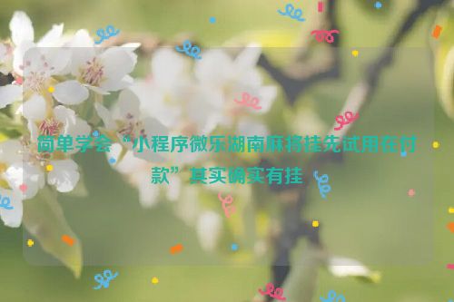 简单学会“小程序微乐湖南麻将挂先试用在付款”其实确实有挂