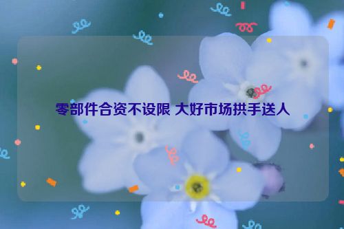 零部件合资不设限 大好市场拱手送人