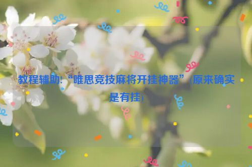 教程辅助!“唯思竞技麻将开挂神器”(原来确实是有挂)