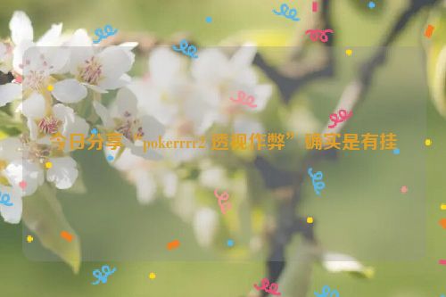 今日分享“pokerrrr2 透视作弊”确实是有挂
