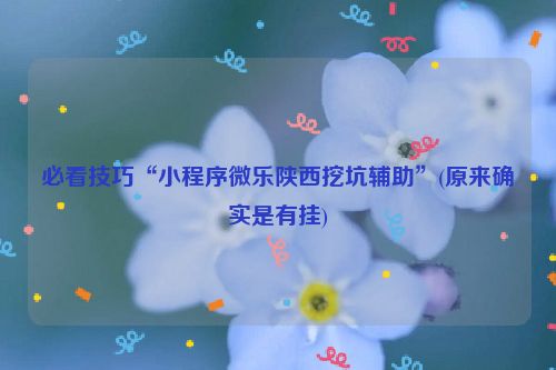必看技巧“小程序微乐陕西挖坑辅助”(原来确实是有挂)