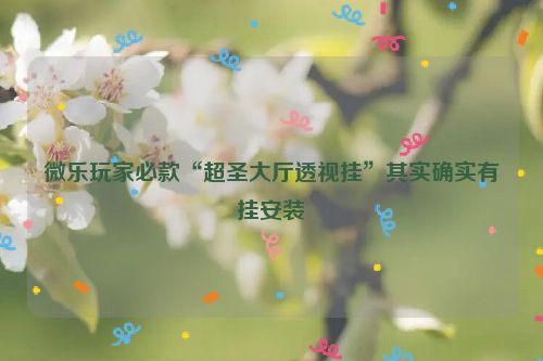 微乐玩家必款“超圣大厅透视挂”其实确实有挂安装
