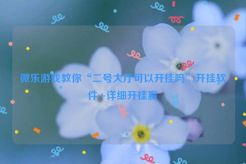 微乐游戏教你“二号大厅可以开挂吗”开挂软件+详细开挂赢