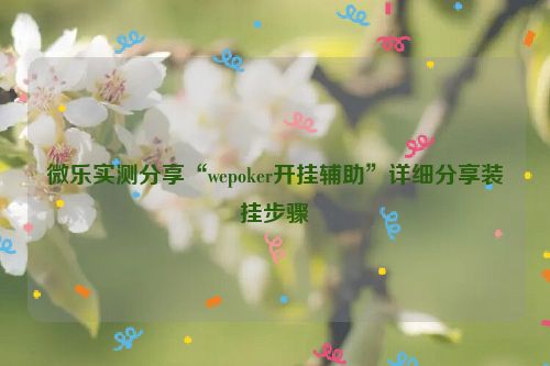 微乐实测分享“wepoker开挂辅助”详细分享装挂步骤