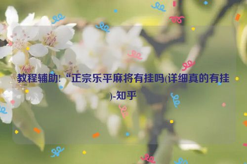 教程辅助!“正宗乐平麻将有挂吗(详细真的有挂)-知乎