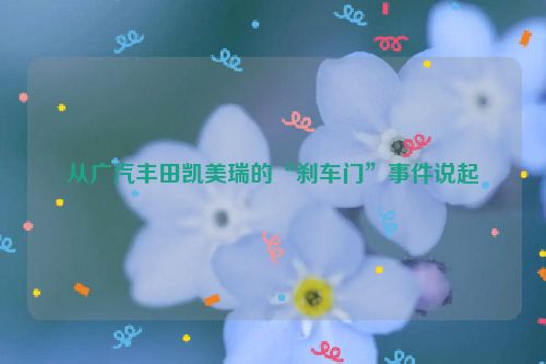 从广汽丰田凯美瑞的“刹车门”事件说起