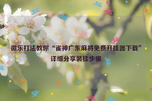 微乐打法教你“雀神广东麻将免费开挂器下载”详细分享装挂步骤