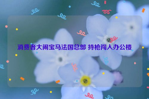 消费者大闹宝马法国总部 持枪闯入办公楼