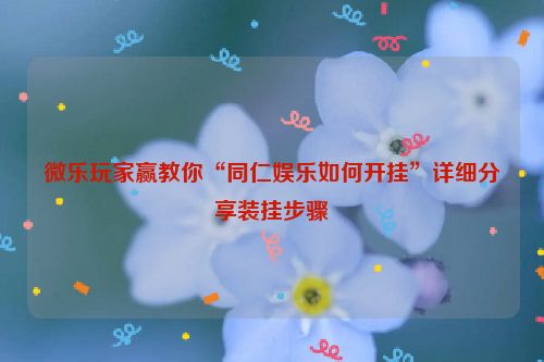 微乐玩家赢教你“同仁娱乐如何开挂”详细分享装挂步骤