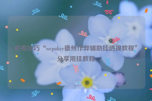 必看技巧“wepoker德州作弊辅助挂透视教程”分享用挂教程