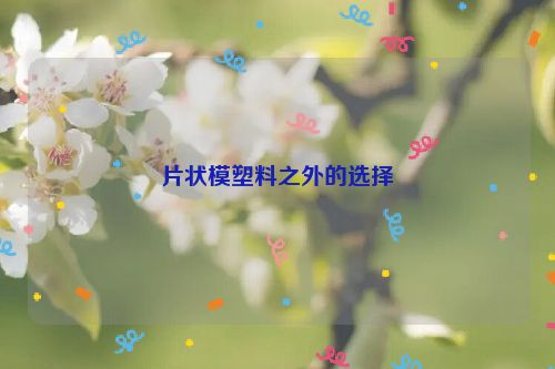 片状模塑料之外的选择