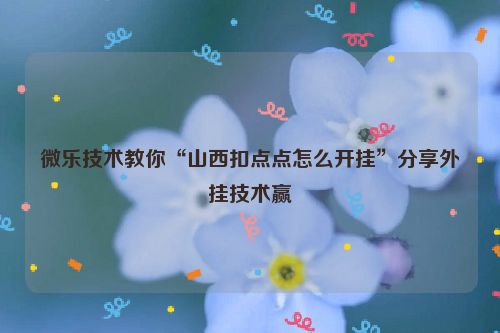 微乐技术教你“山西扣点点怎么开挂”分享外挂技术赢