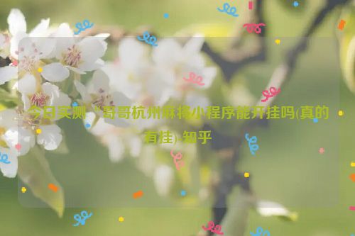 今日实测“哥哥杭州麻将小程序能开挂吗(真的有挂)-知乎