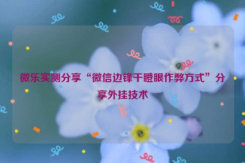微乐实测分享“微信边锋干瞪眼作弊方式”分享外挂技术