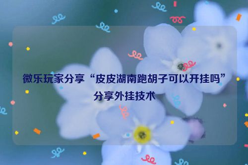 微乐玩家分享“皮皮湖南跑胡子可以开挂吗”分享外挂技术