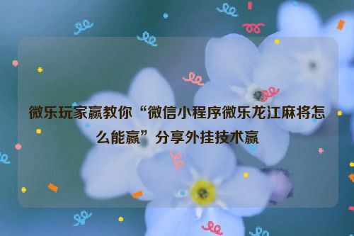 微乐玩家赢教你“微信小程序微乐龙江麻将怎么能赢”分享外挂技术赢