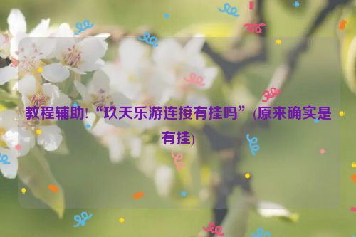 教程辅助!“玖天乐游连接有挂吗”(原来确实是有挂)