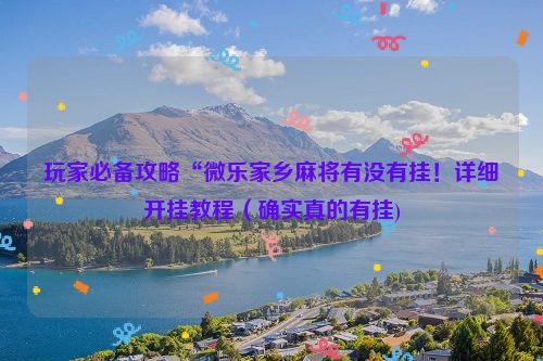 玩家必备攻略“微乐家乡麻将有没有挂！详细开挂教程（确实真的有挂)
