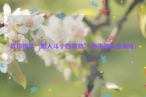教你操作“懒人斗十四辅助”(原来确实是有挂)