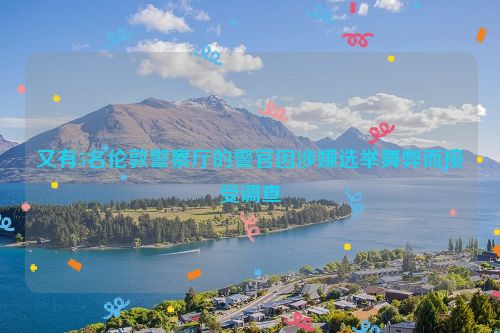 又有5名伦敦警察厅的警官因涉嫌选举舞弊而接受调查