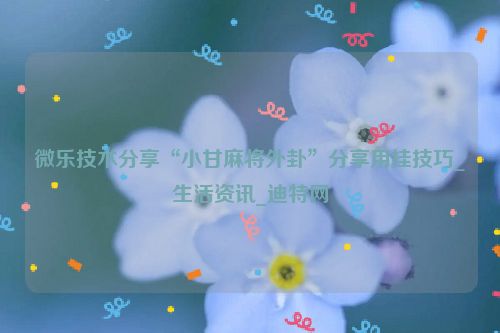 微乐技术分享“小甘麻将外卦”分享用挂技巧_生活资讯_迪特网