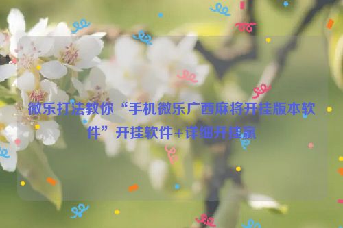 微乐打法教你“手机微乐广西麻将开挂版本软件”开挂软件+详细开挂赢