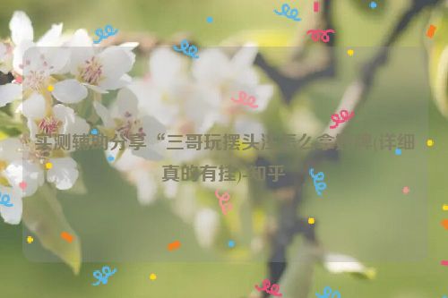 实测辅助分享“三哥玩摆头注怎么拿好牌(详细真的有挂)-知乎